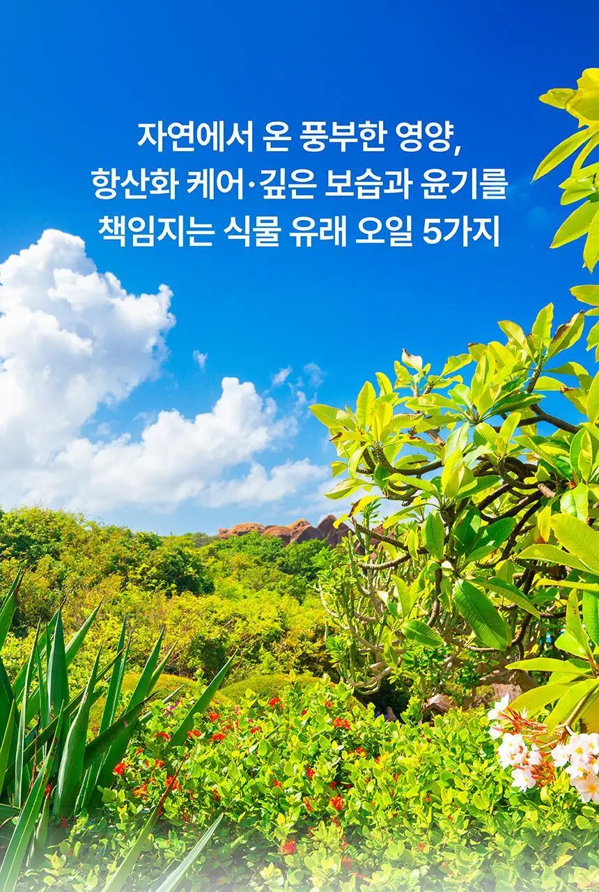 [무실리콘/극손상모 케어] SOOO 얼팀 헤어 에센스 50ml (고보습 립밤 성분 추출) 상세페이지 19